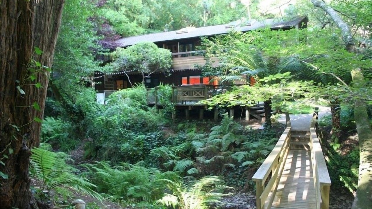 Photo of Others in Mill Valley