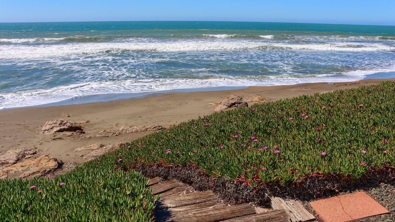 Photo of Others in San Simeon