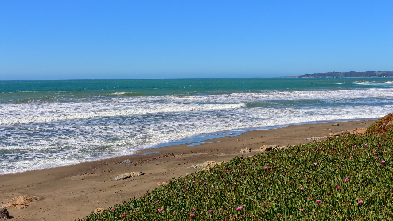 Photo of Others in San Simeon