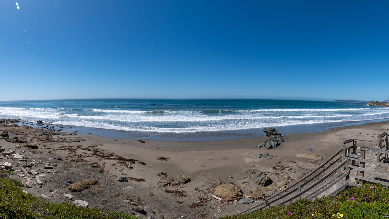 Photo of Others in San Simeon