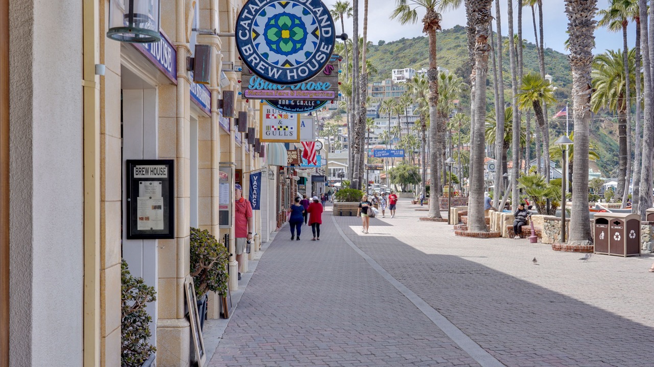 Photo of Others in Avalon
