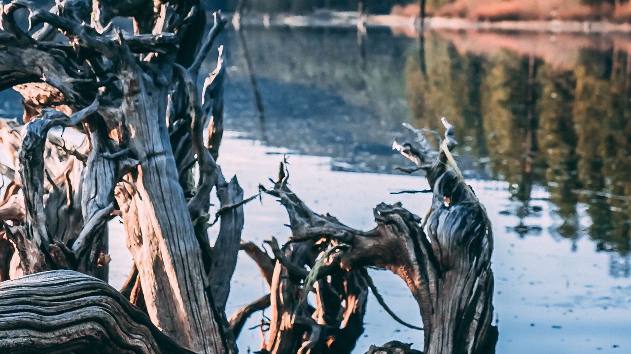 Photo of Outdoor in Greenville