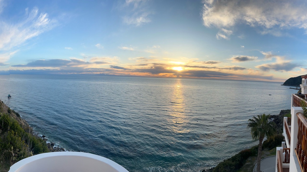 Photo of Others in Avalon