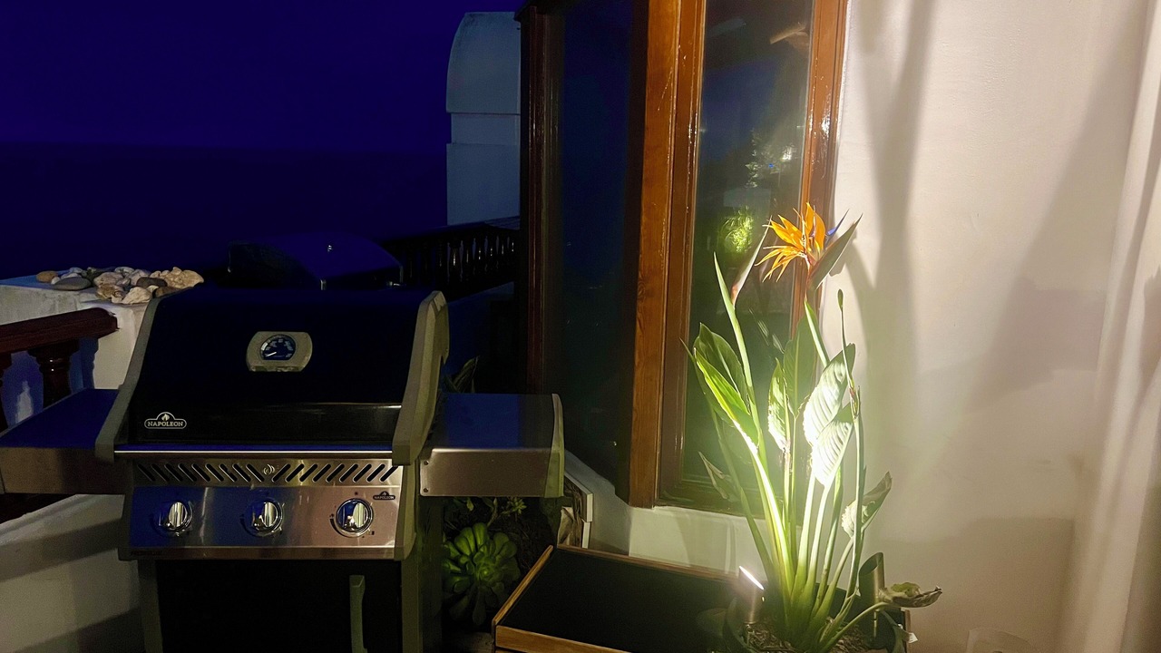 Photo of Outdoor in Avalon