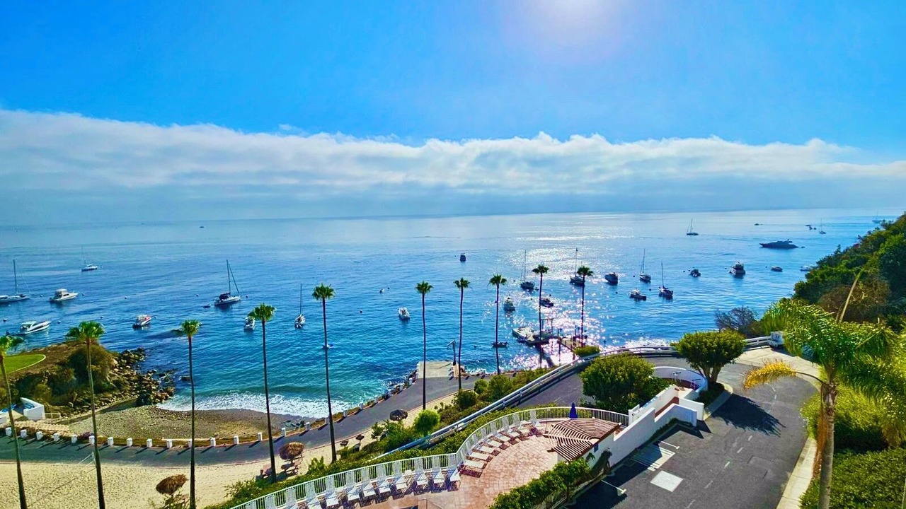 Photo of Outdoor in Avalon