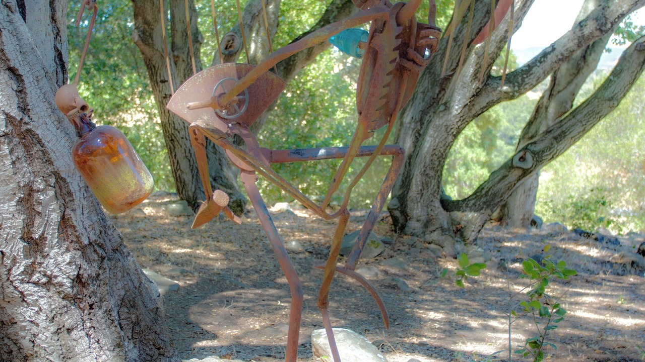 Photo of Outdoor in Sonoma