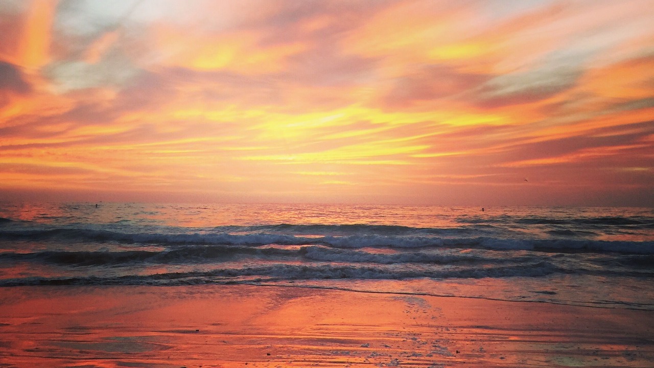 Photo of Others in La Jolla Shores