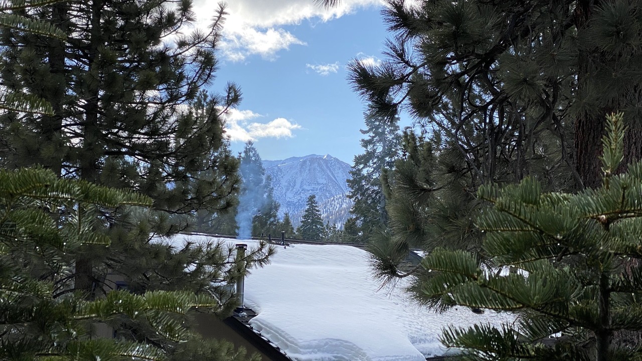 Photo of Others in Majestic Pines