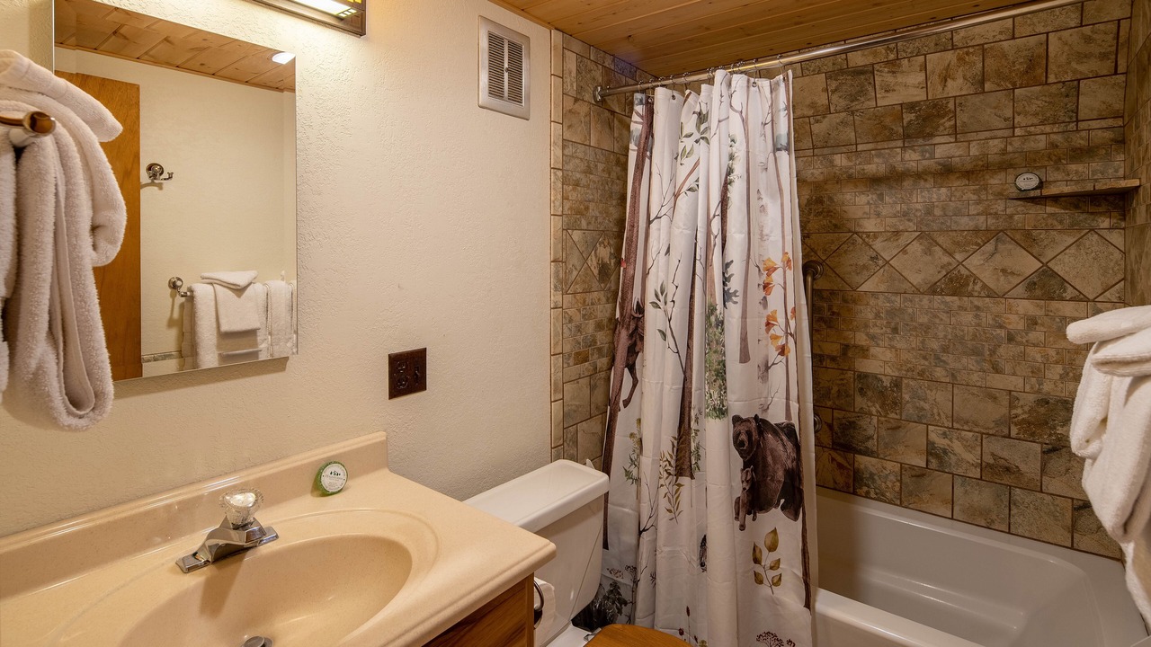 Photo of Bathroom in Tahoe Pines