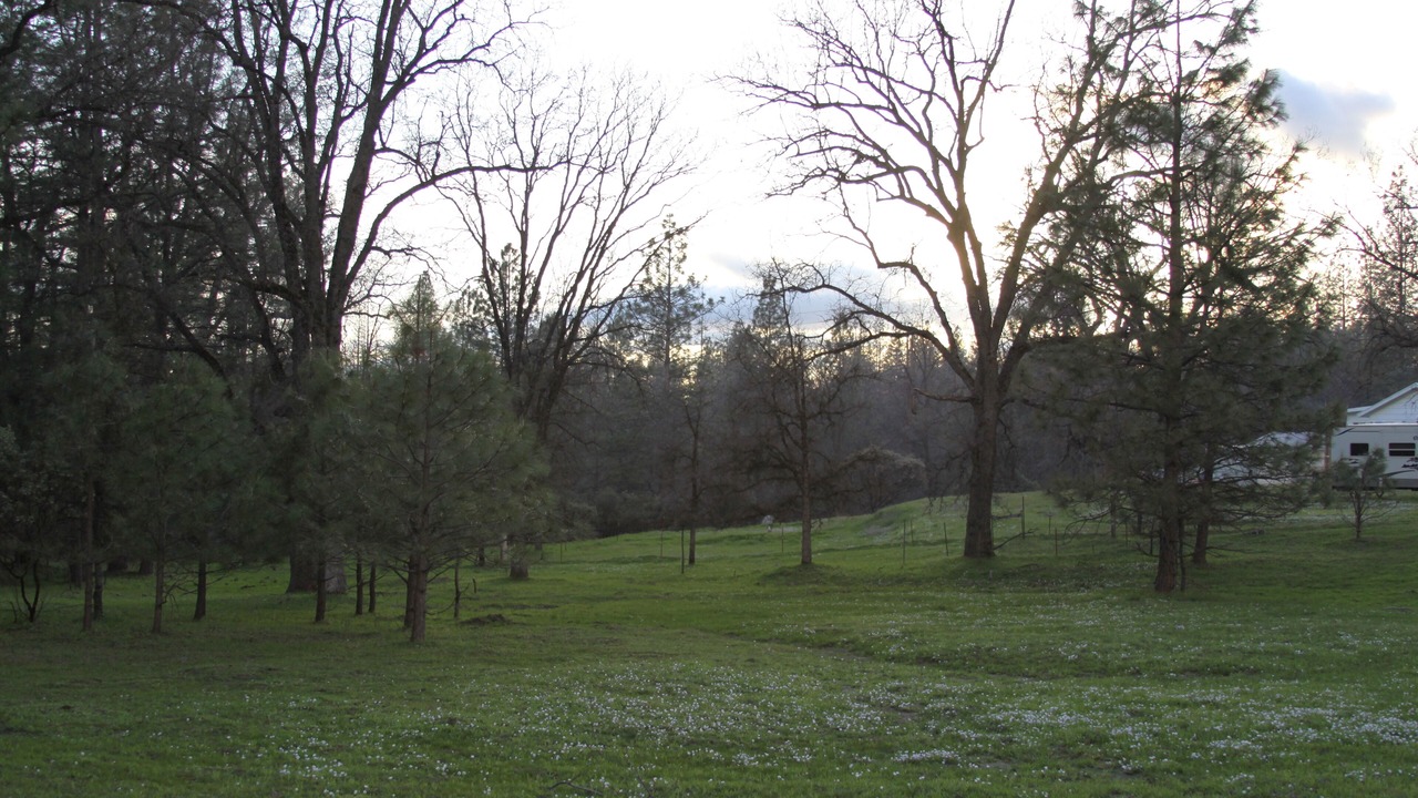 Photo of Outdoor in Mariposa