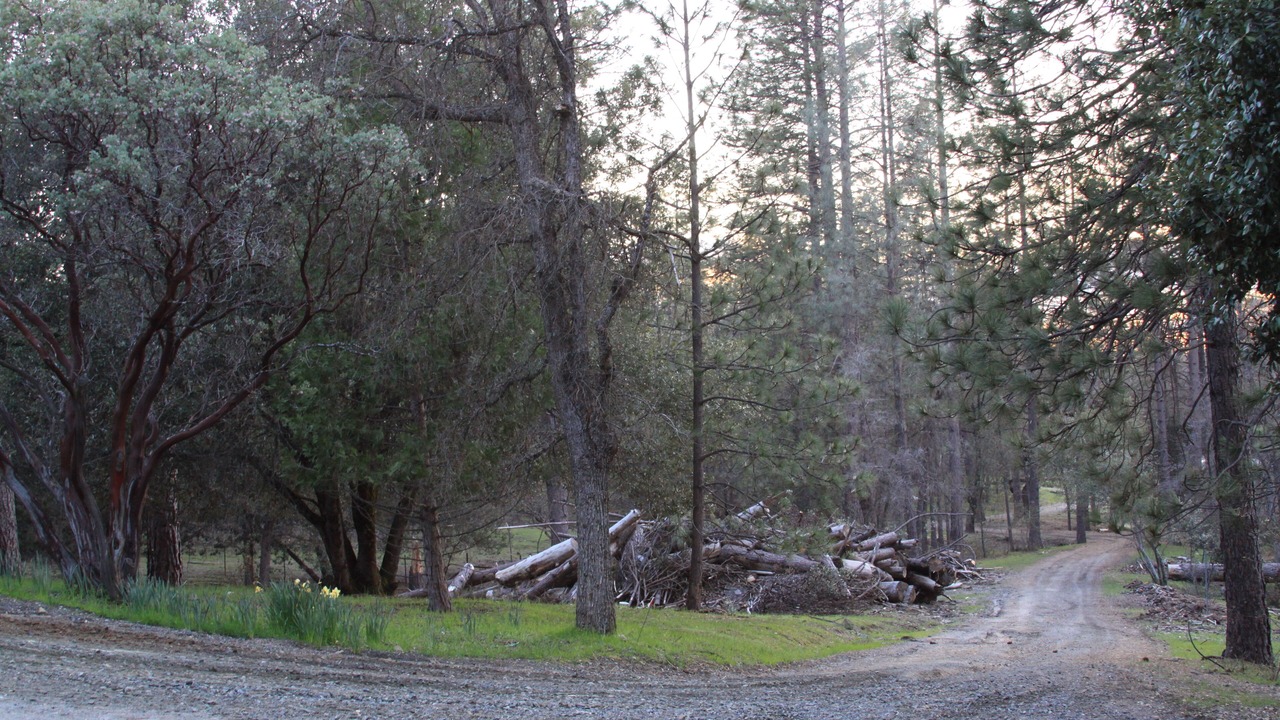 Photo of Outdoor in Mariposa