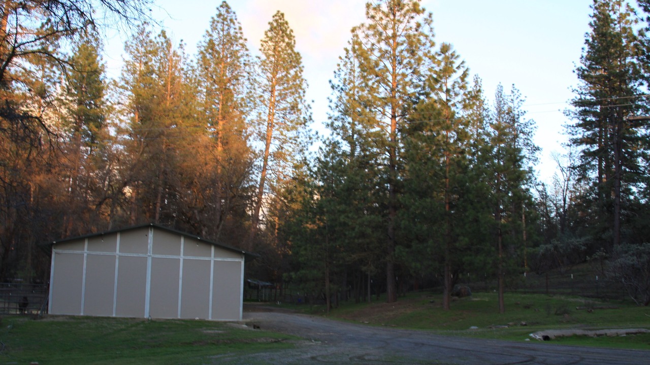Photo of Outdoor in Mariposa