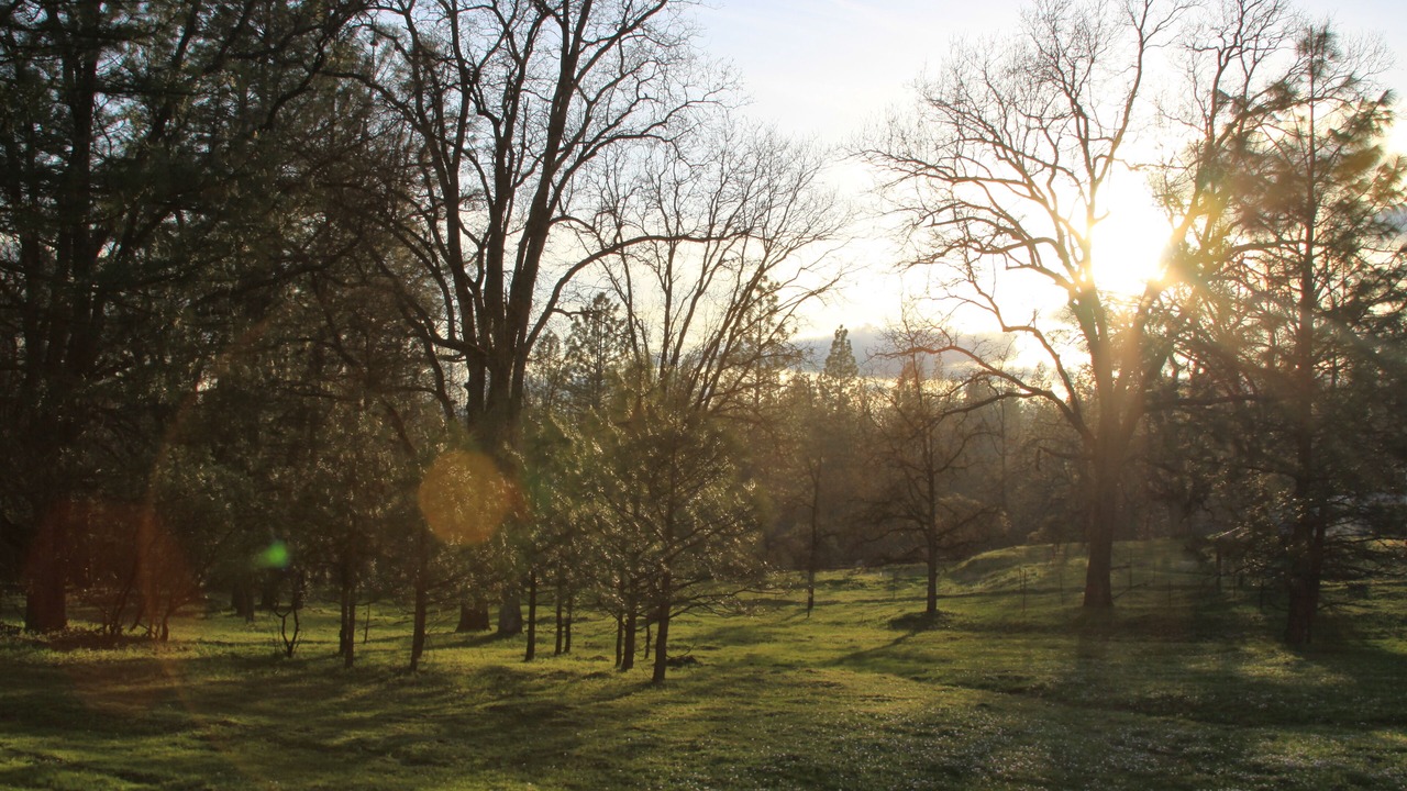 Photo of Outdoor in Mariposa