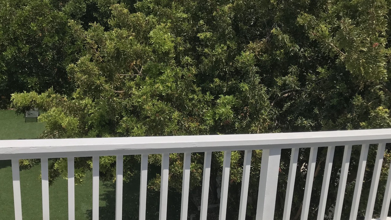 Photo of Outdoor in Pico - Robertson