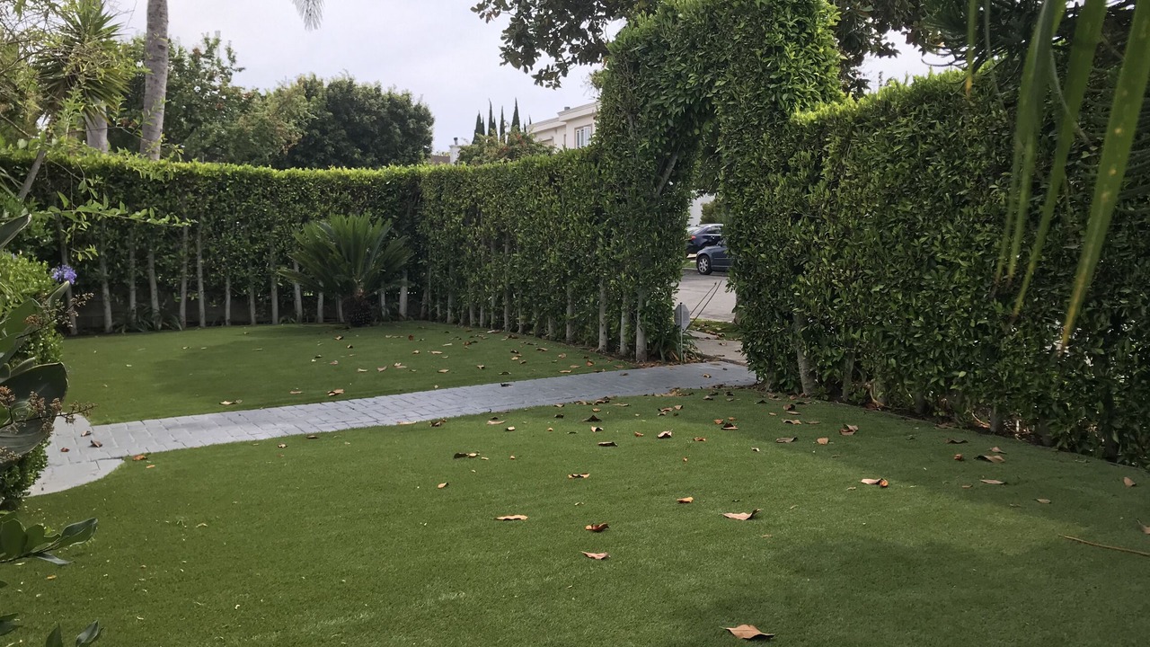 Photo of Outdoor in Pico - Robertson