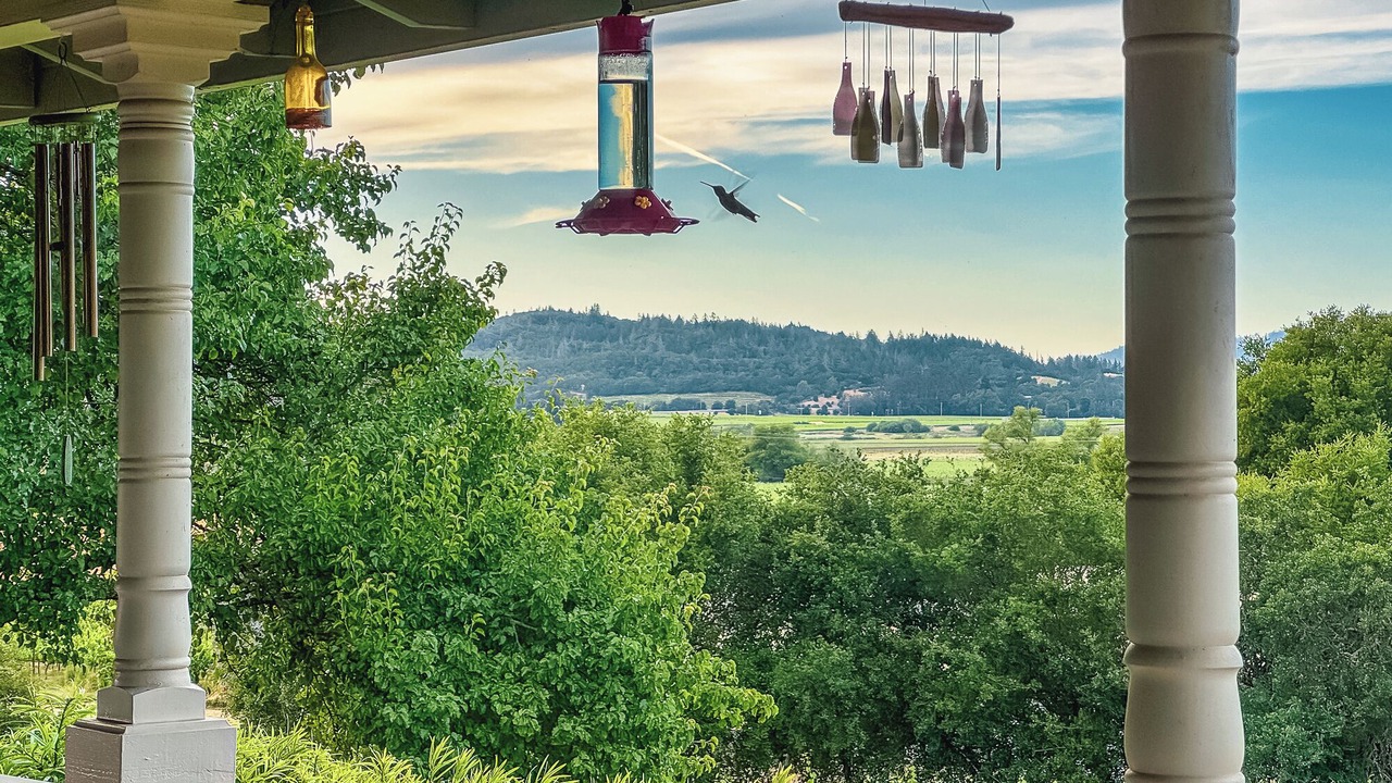 Photo of Outdoor in Healdsburg