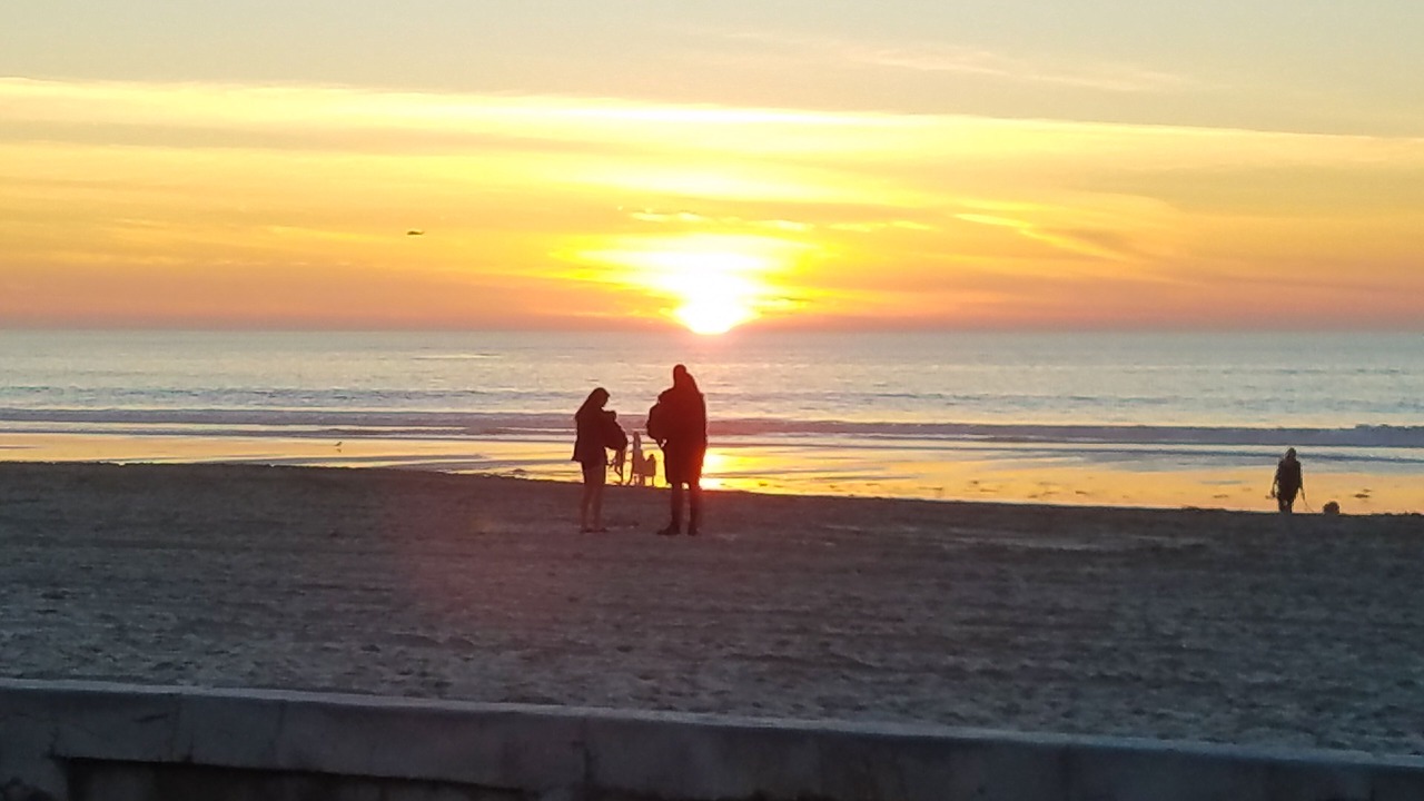 Photo of Others in Central Mission Beach
