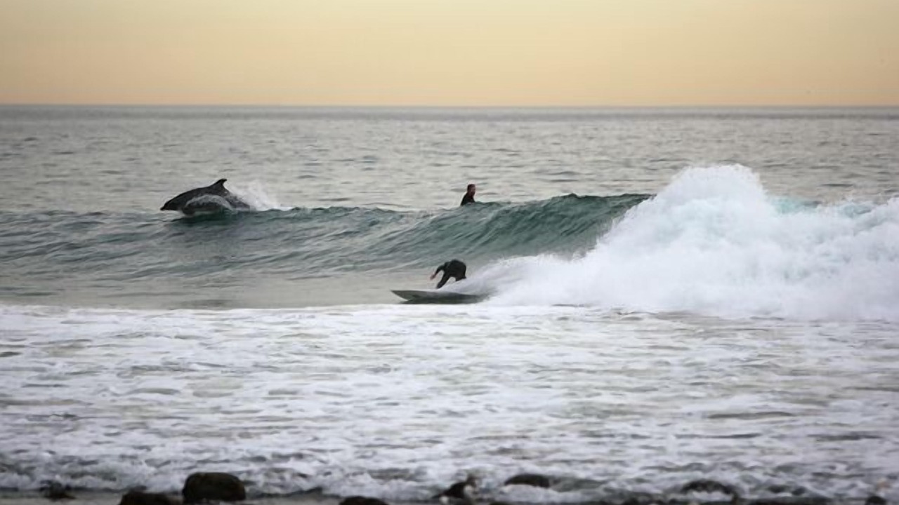 Photo of Others in Carpinteria