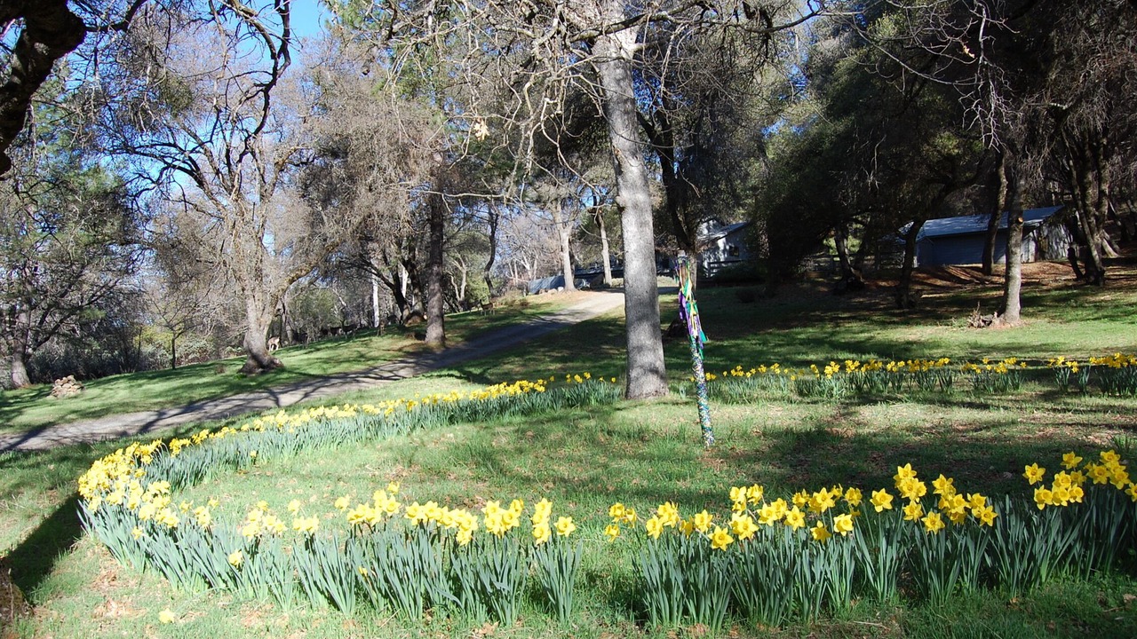 Photo of Others in Mariposa