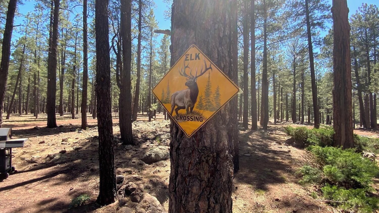 Photo of Others in Parks