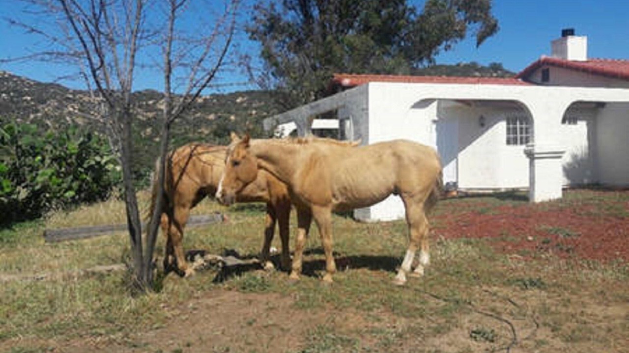 Photo of Others in Fallbrook