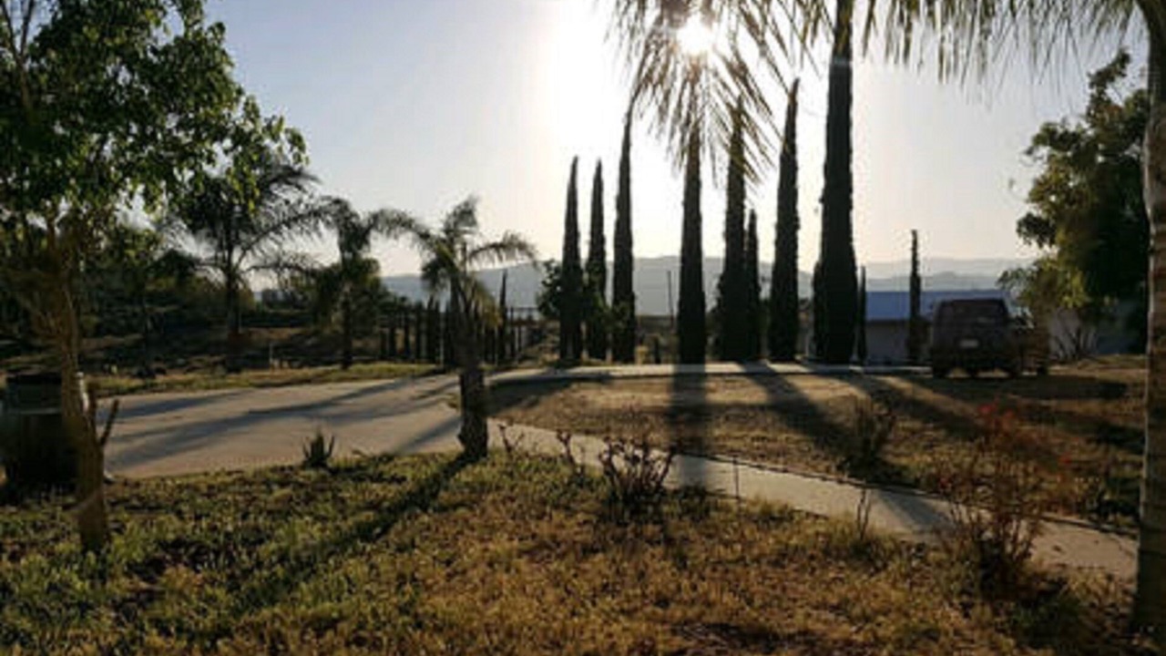 Photo of Others in Fallbrook
