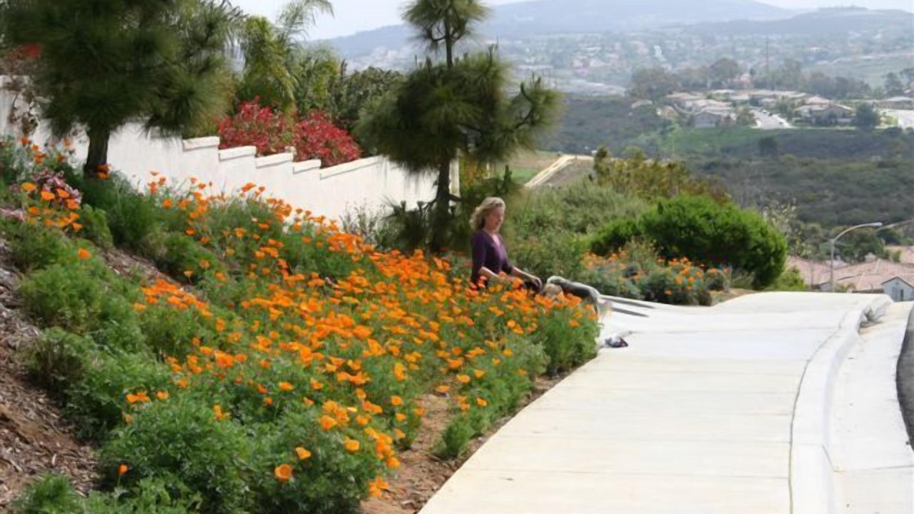 Photo of Outdoor in Aviara