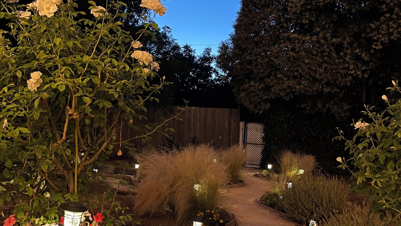 Photo of Outdoor in Kenwood