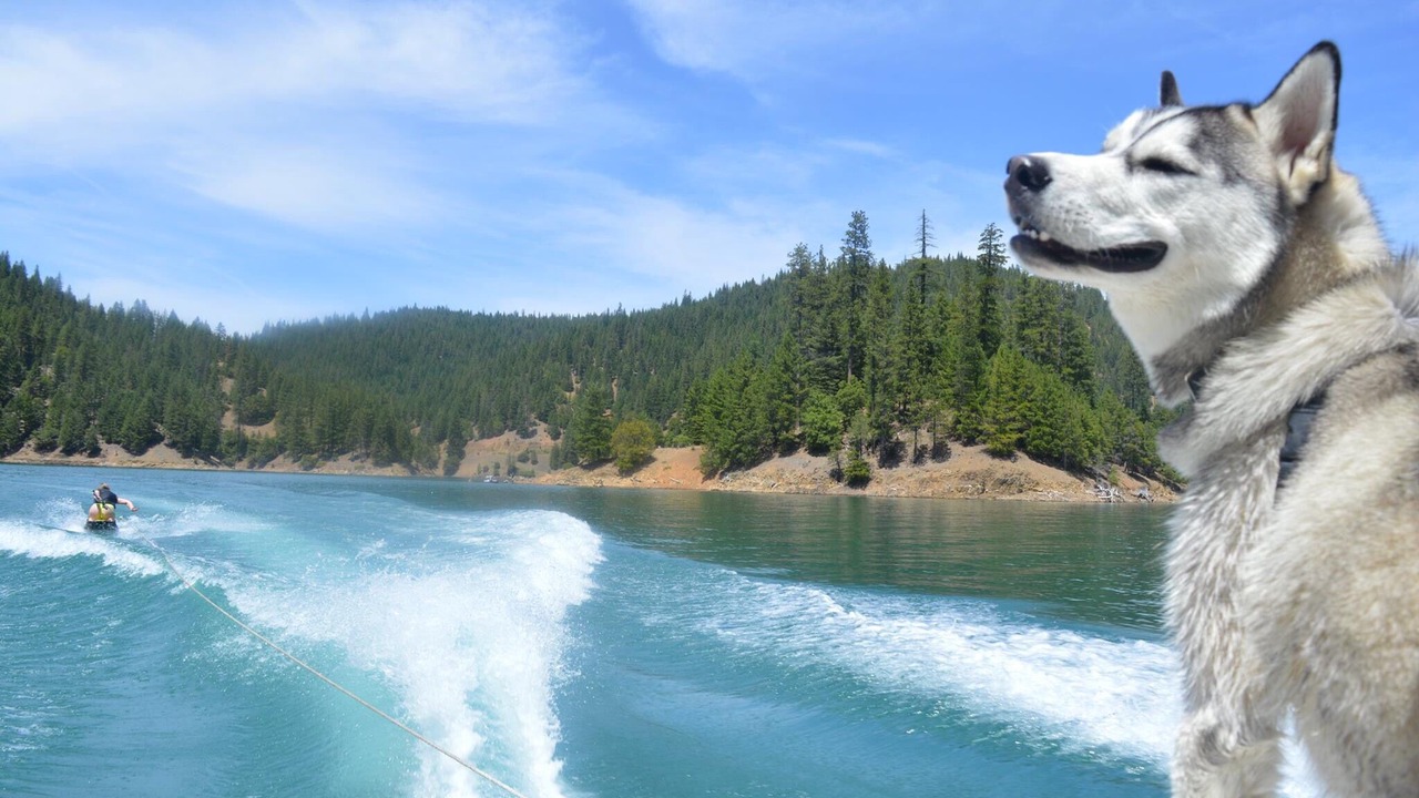 Photo of Others in McCloud