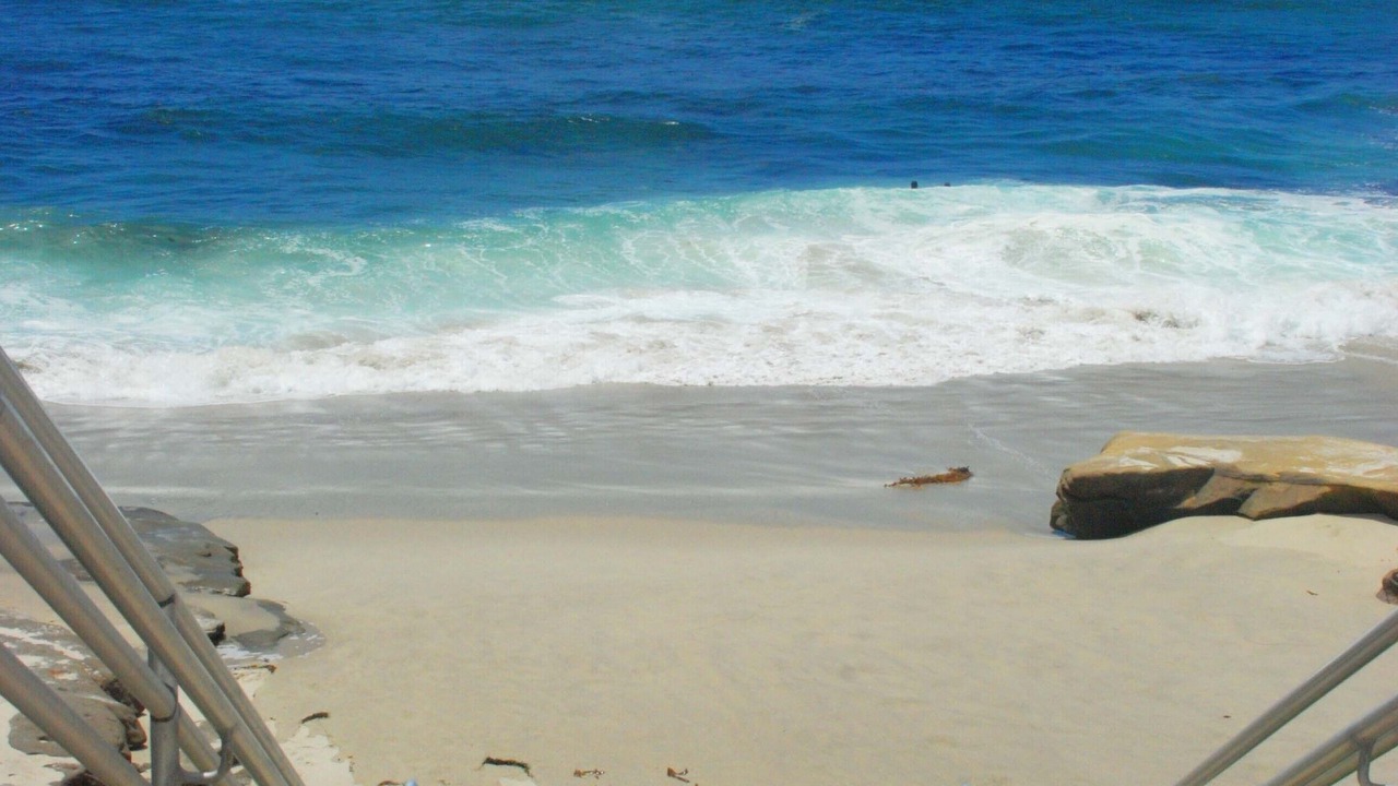 Photo of Others in Beach Barber Tract