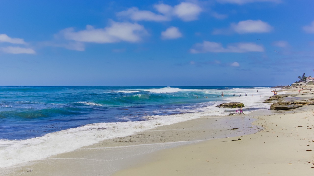 Photo of Others in Beach Barber Tract