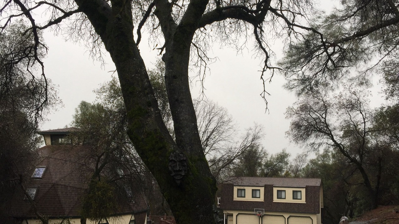 Photo of Others in Phoenix Lake-Cedar Ridge