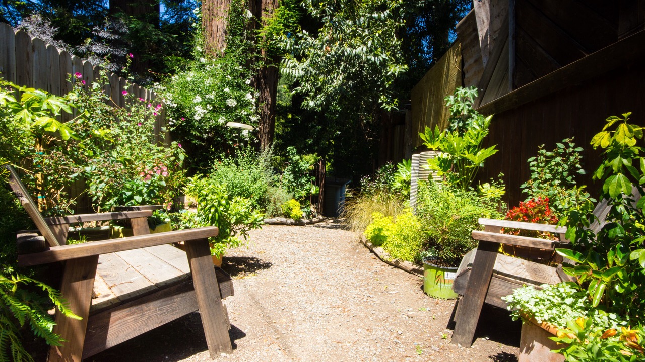Photo of Outdoor in Northwood