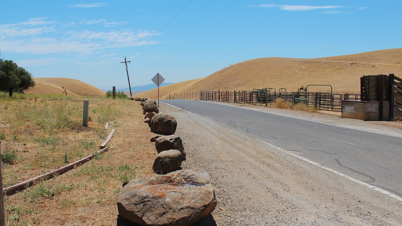 Photo of Others in Livermore