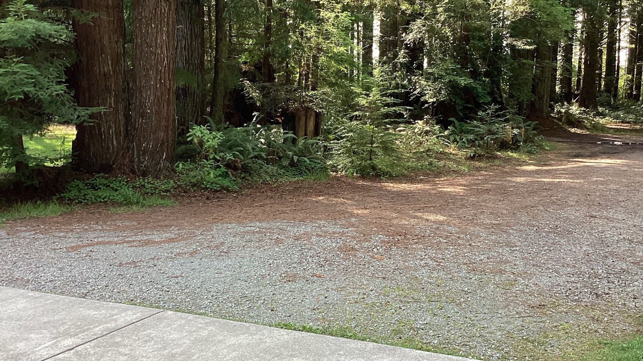 Photo of Outdoor in Fort Dick