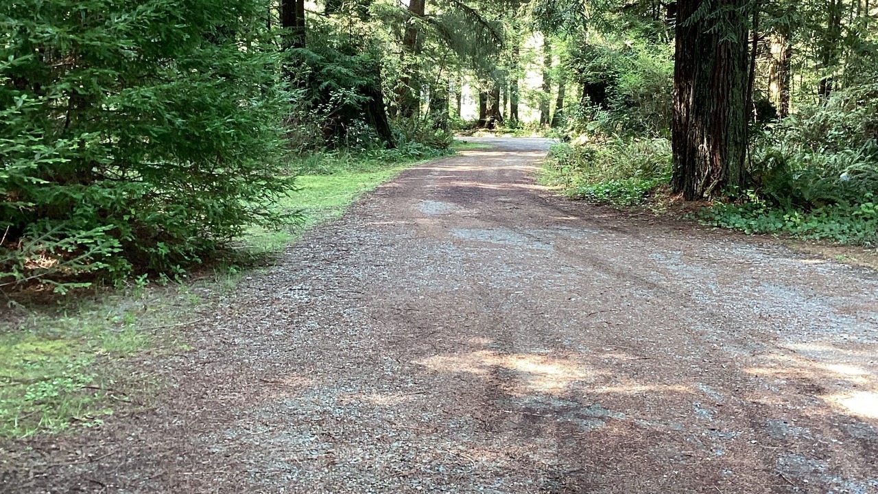 Photo of Outdoor in Fort Dick