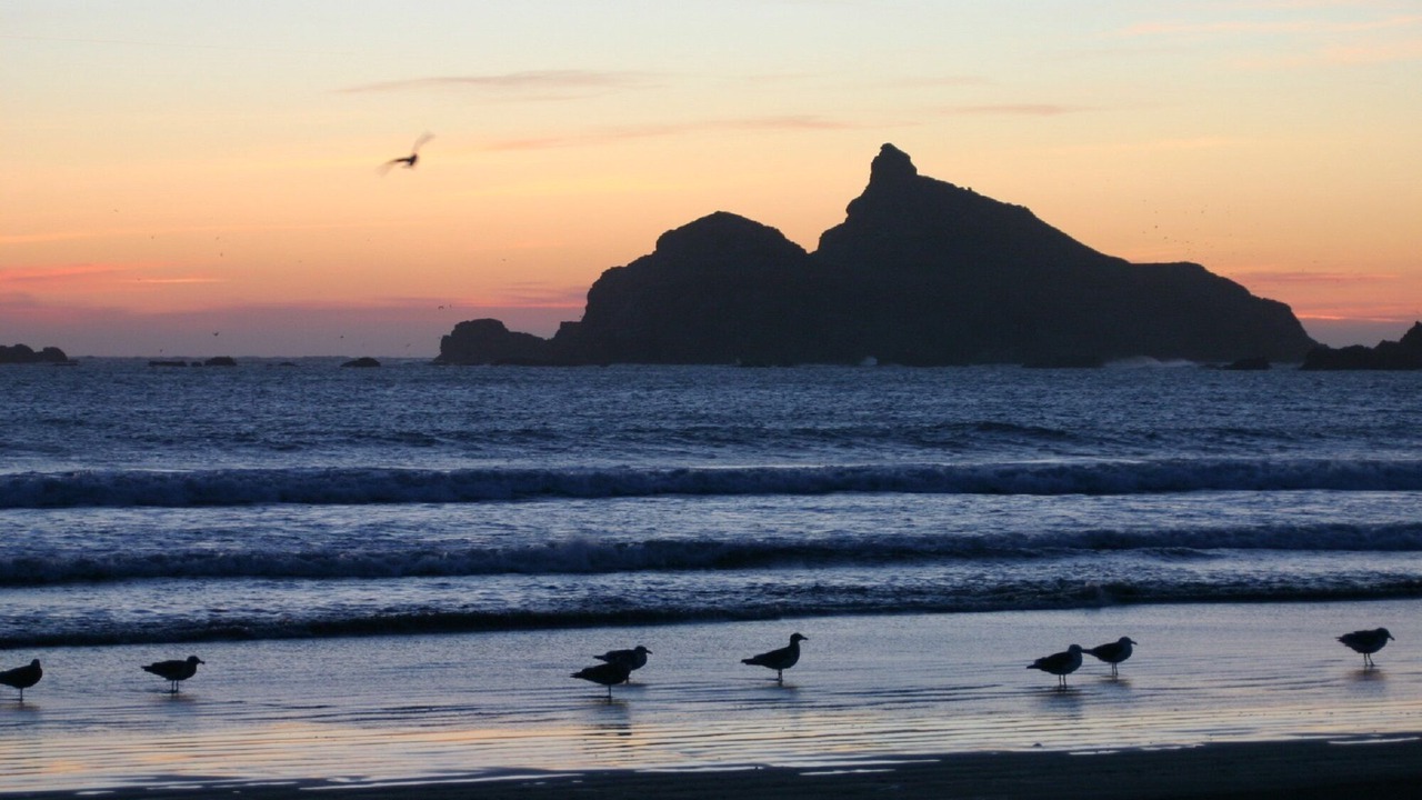 Photo of Others in Crescent City North