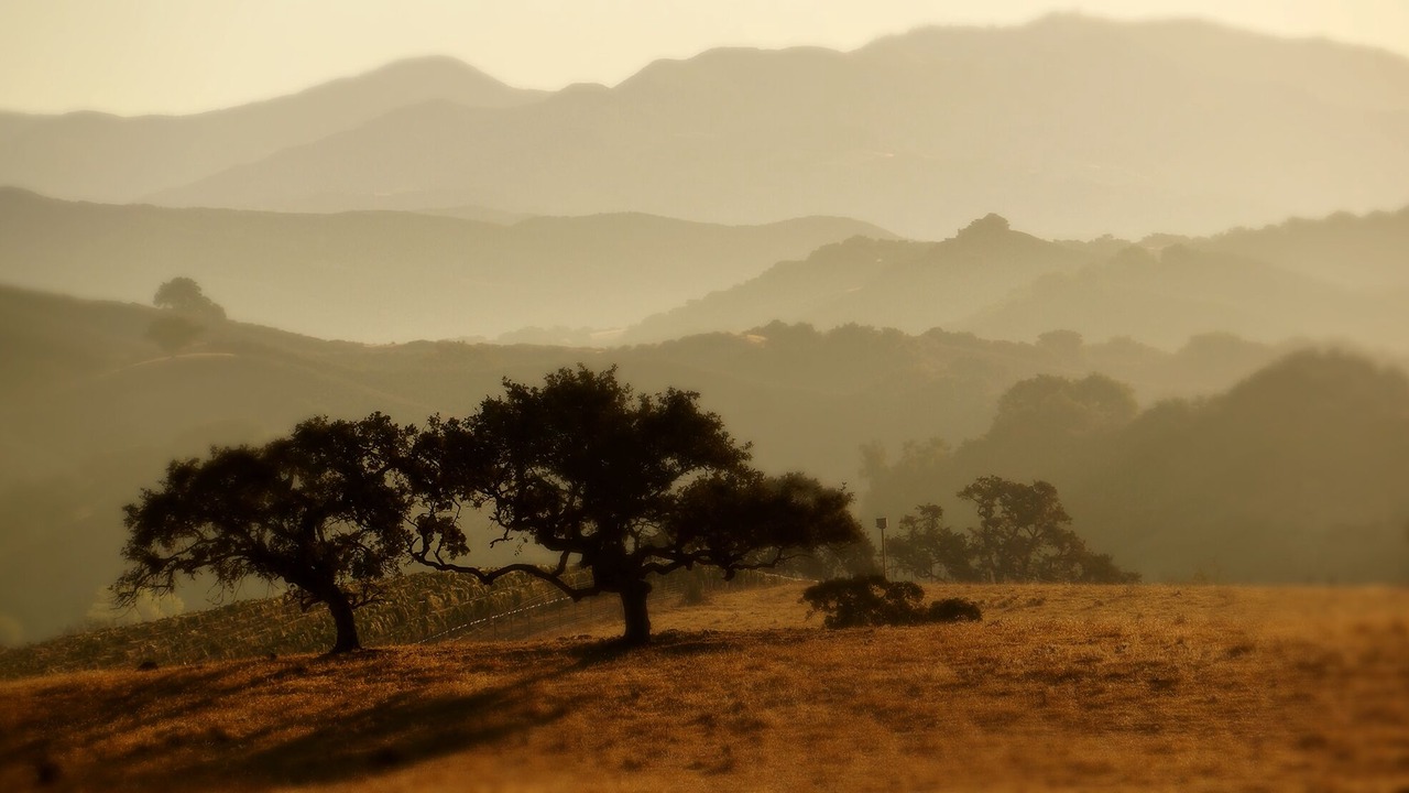 Photo of Others in Santa Ynez