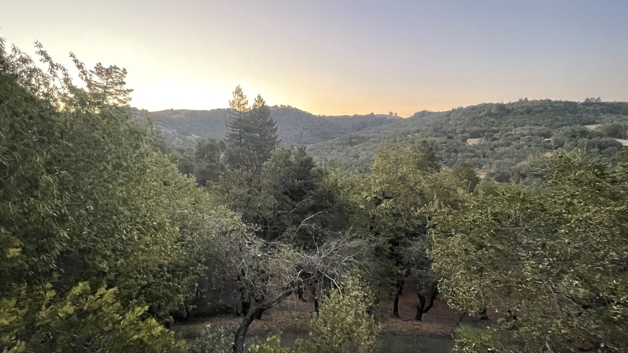Photo of Outdoor in Healdsburg