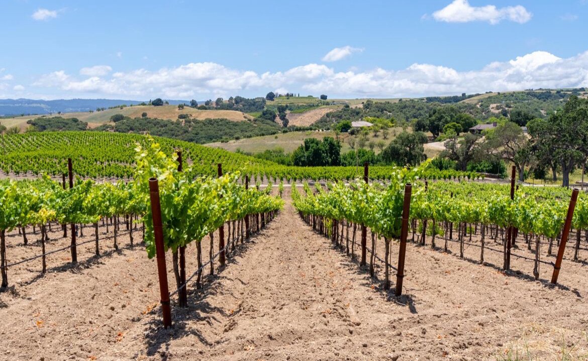 Photo of Others in Paso Robles