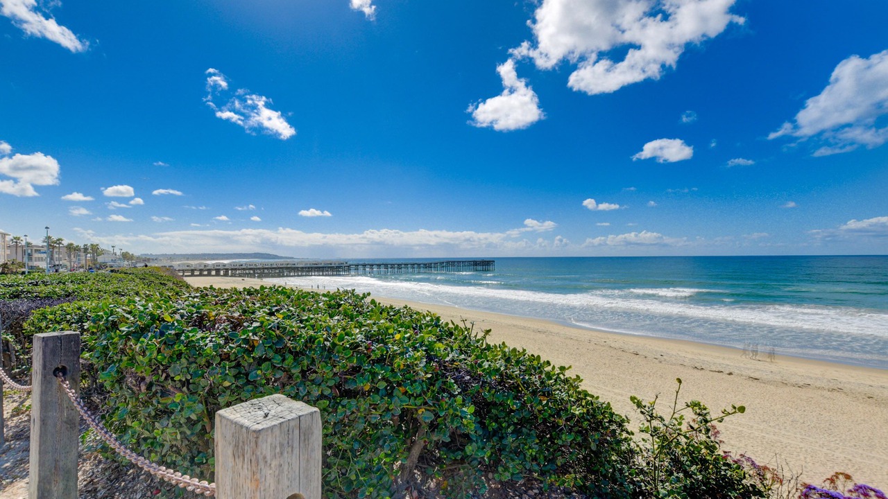 Photo of Others in Pacific Beach