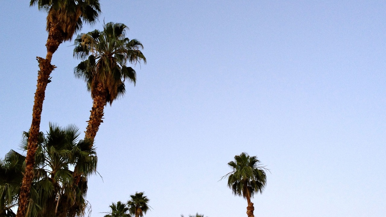 Photo of Others in Rancho Mirage