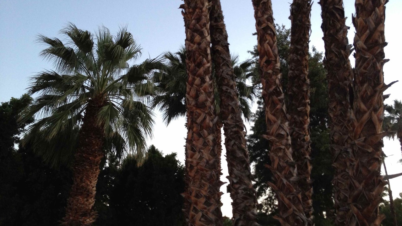 Photo of Others in Rancho Mirage