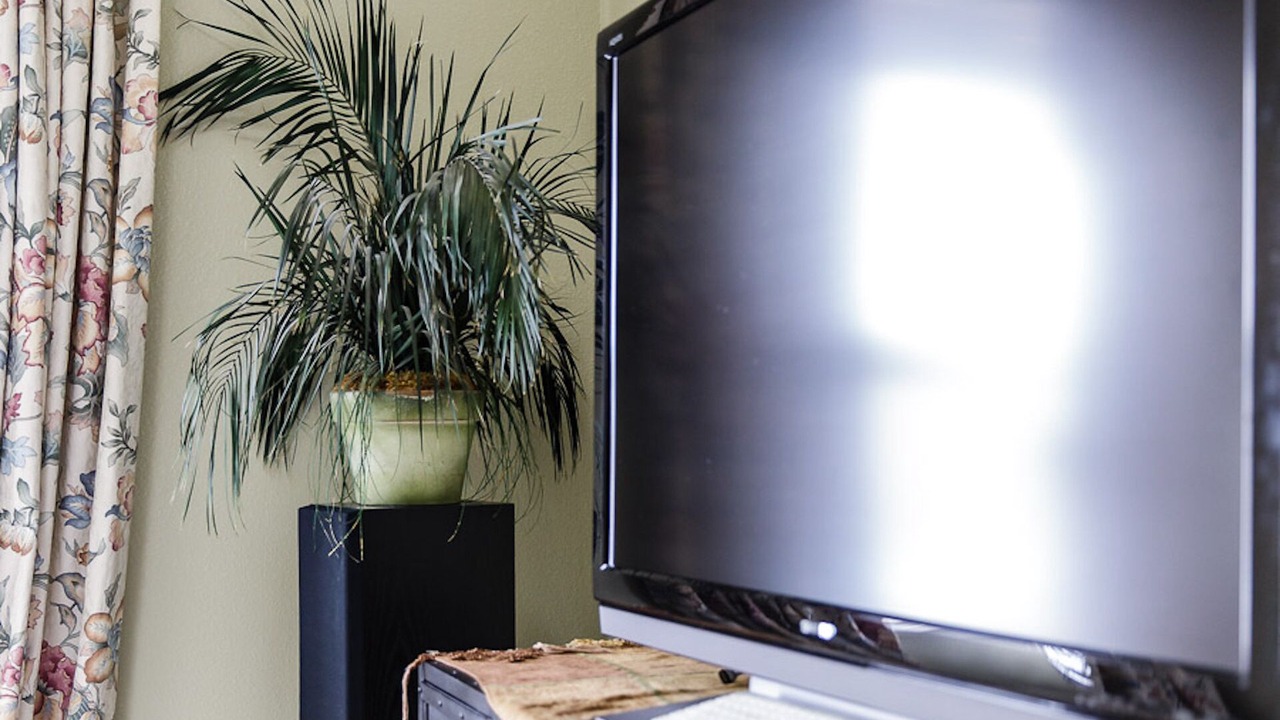 Photo of Livingroom in East Palo Alto