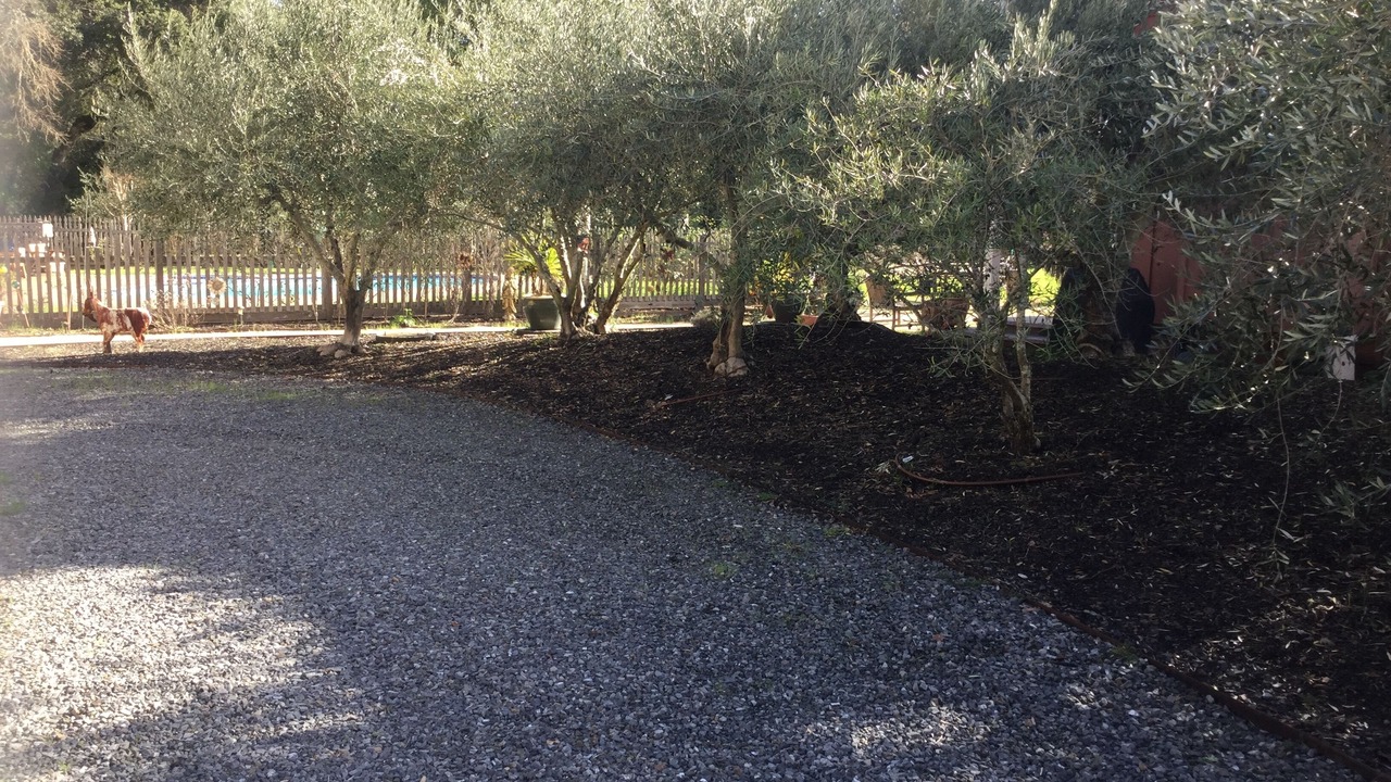 Photo of Outdoor in Glen Ellen