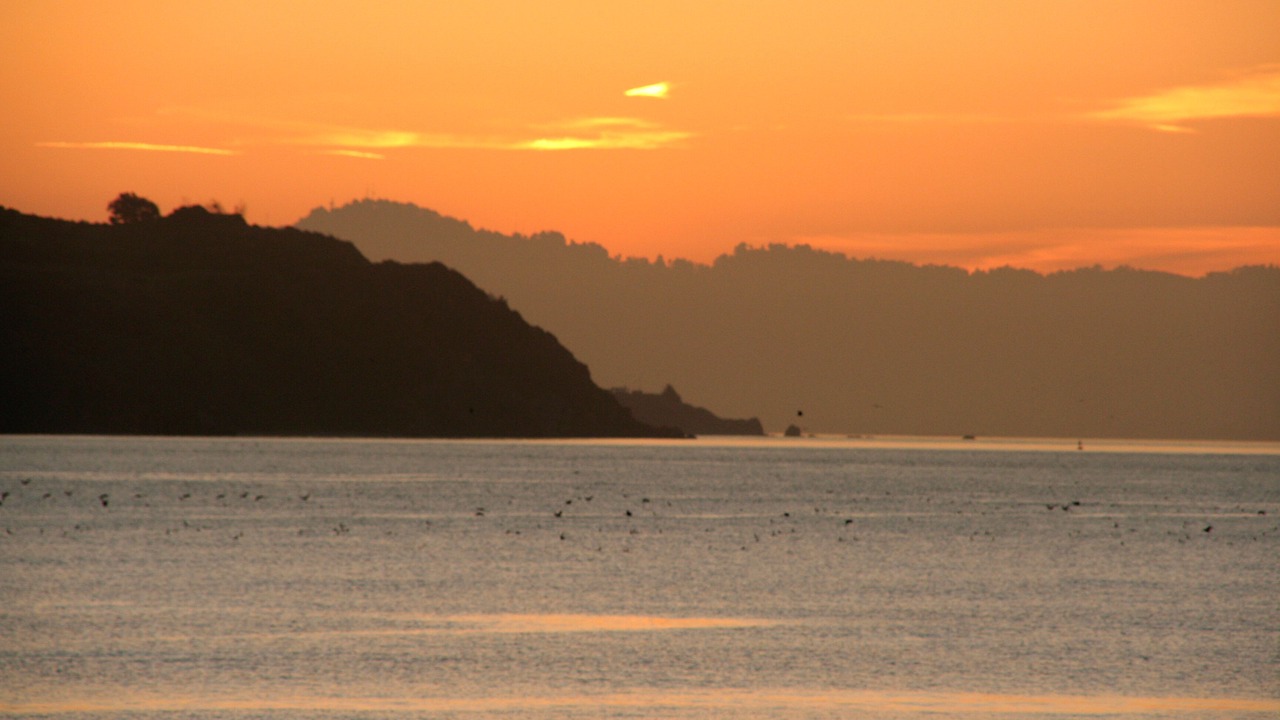 Photo of Others in Sausalito