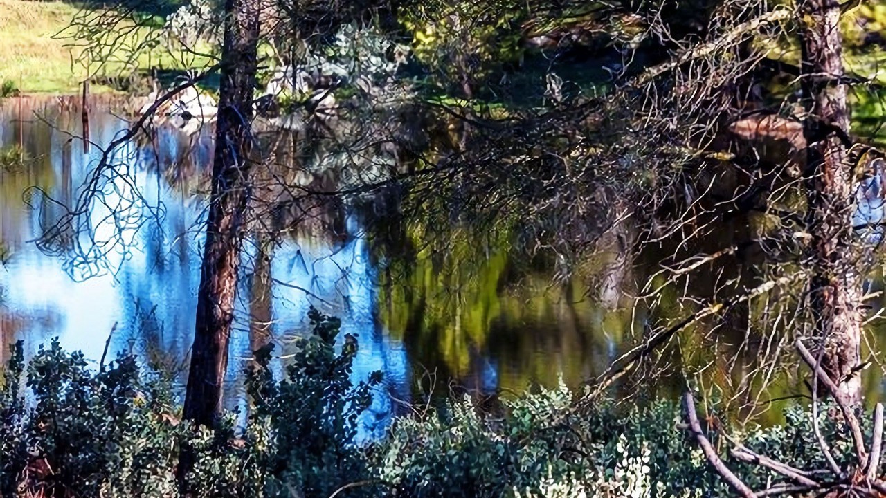 Photo of Outdoor in Mariposa