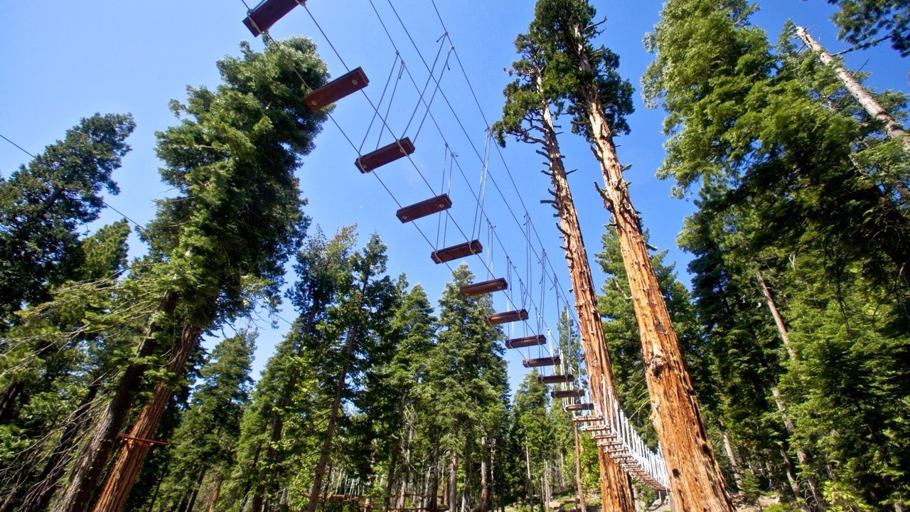 Photo of Others in Tahoe Woods