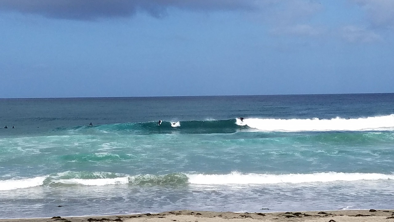 Photo of Others in La Jolla Shores