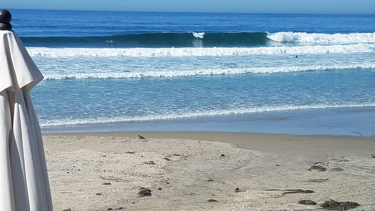 Photo of Others in La Jolla Shores
